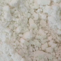 出售玉米次淀粉可做饲料！