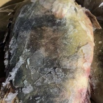 桂花鱼，鳜鱼（产地直销）