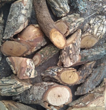 五香血藤药厂投料货小血藤