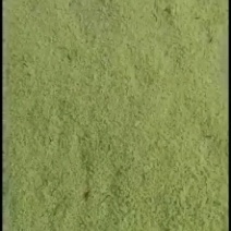 欢迎预订45-6-7-8月份的虫卵，专业养殖豆虫（豆丹）