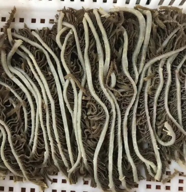 [毛肚批发]【黑千层】高品质牛百叶,5斤装,可零可批发价格28.00元/斤 