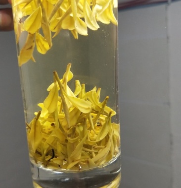 春茶黄金芽口感鲜爽,颜色高贵,送礼上上之选