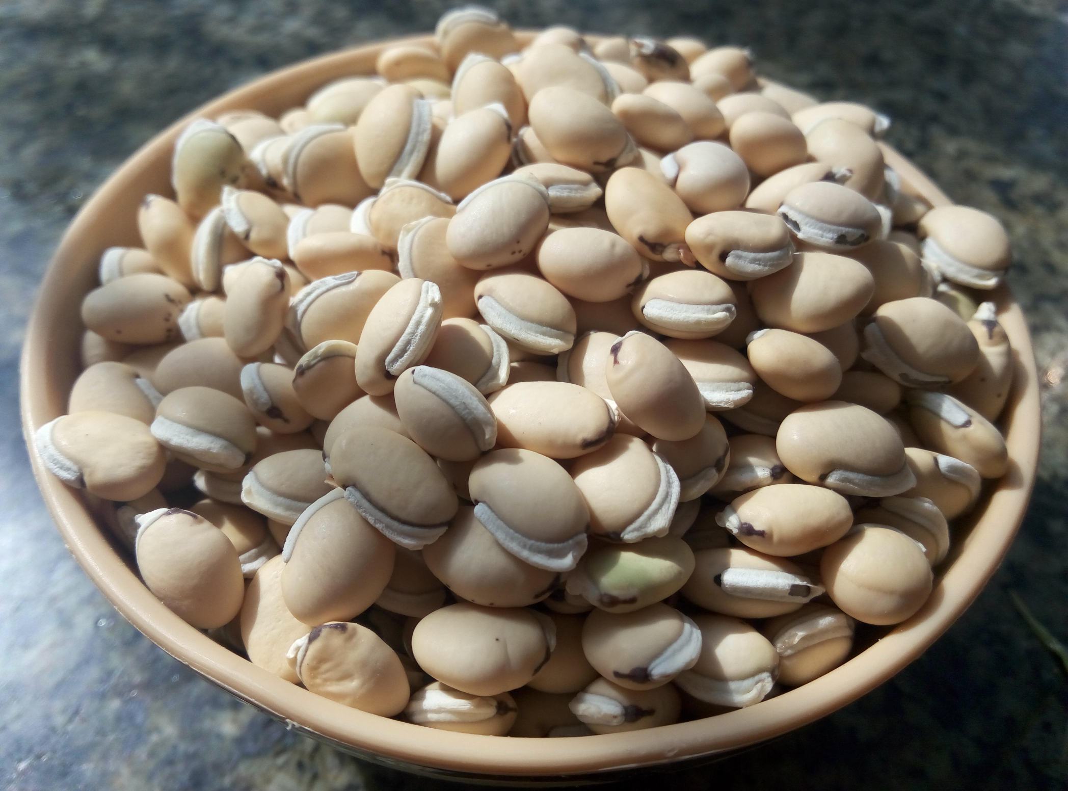 一碗热气腾腾的白扁豆炖排骨汤,汤色清亮微白,碗边摆放着香菜点缀,白扁豆已煮至绵软,与排骨一同沉浮其中,体现其家常滋补的烹饪方式 白扁豆烹饪成品图