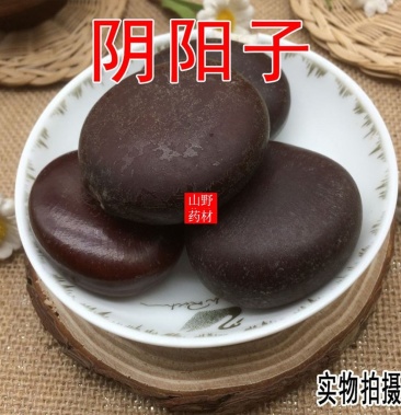 云南中药材阴阳子 龙凤子 肾树宝 500g包邮