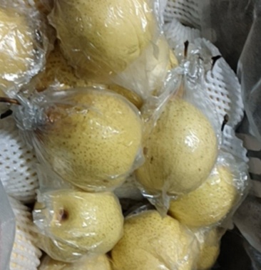 魏县大鸭梨34斤质量有保障