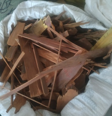 紫杉树皮～靓货～一手货源～切53,正块55～1公斤起售