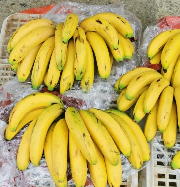[香蕉批发]大量香蕉出售.货源充足稳定价格2.00元/斤 - 一亩田