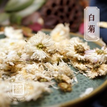 【万家合源南北干货特卖会】白菊