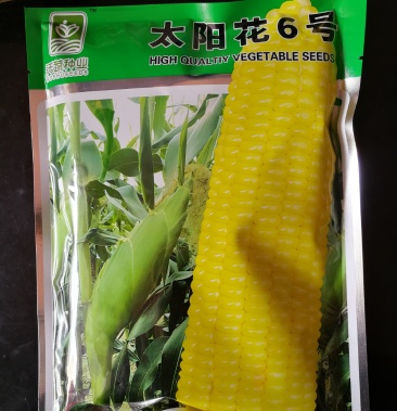 太阳花6号甜玉米种子水果玉米种子棒子大味道甜皮薄无渣