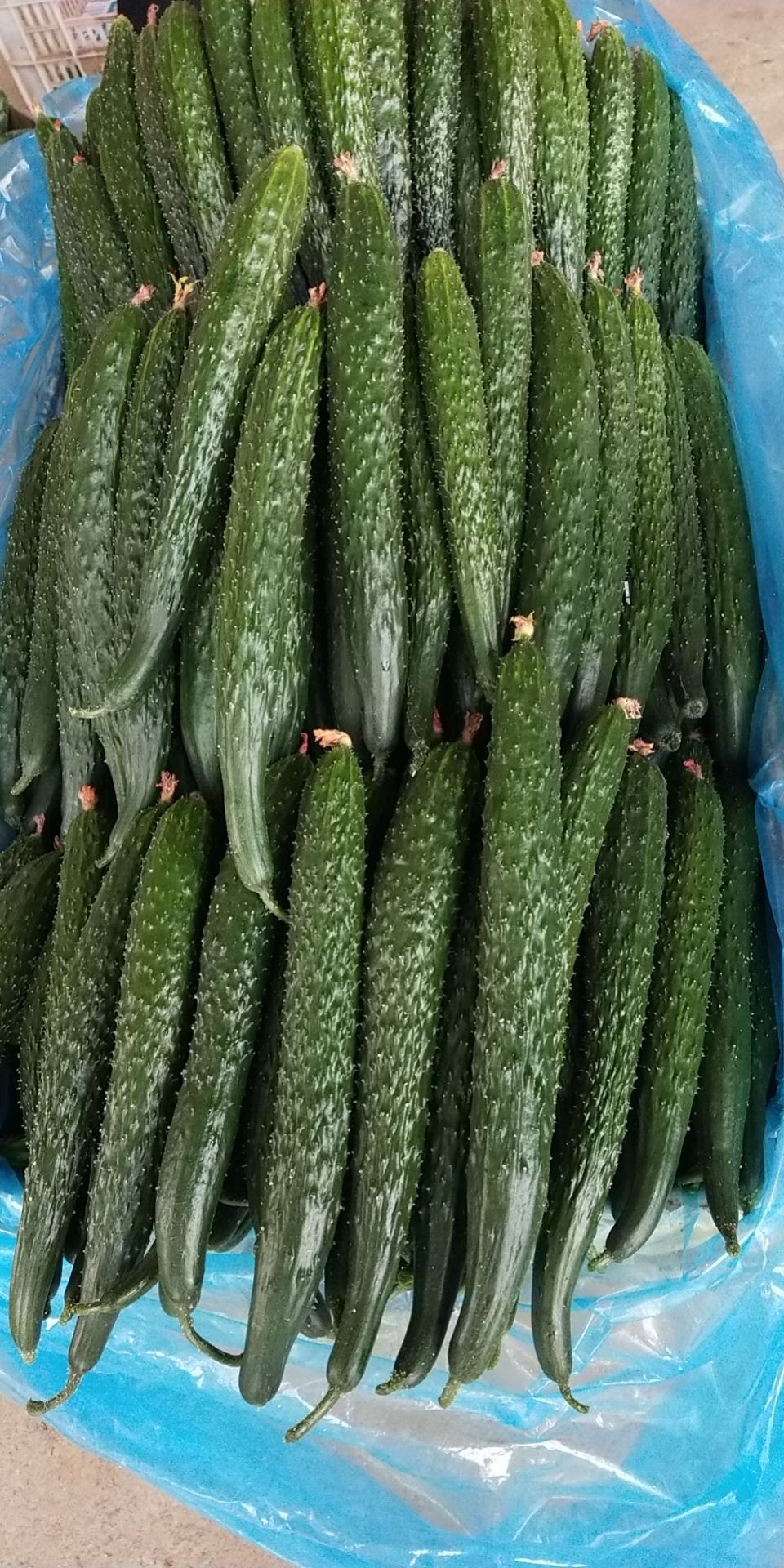 黄瓜超市电商大型企业食堂专供