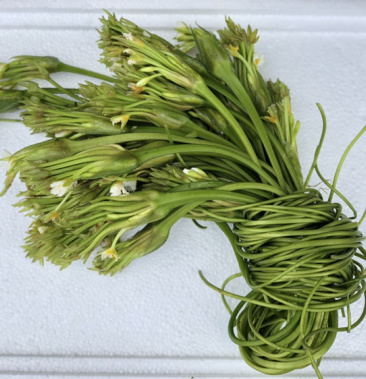 新鲜海菜,水性杨花鲜嫩可口长期供应货源稳定