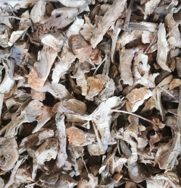 羊开口野牡丹根小花瓶根羊开口云南道地药材