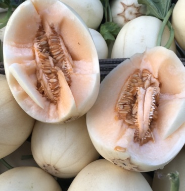 山东头茬东方蜜,白皮红肉 个头均匀,糖度高,产地直供