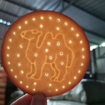 沙漠黄金，新疆驼奶饼干