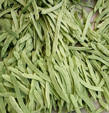 [扁豆批发]扁芸豆一级,二级,通货,大量上市,欢迎新老客户订购价格4.