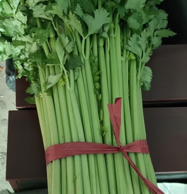 本地精品皇妃芹菜,货源充足,质量保证,根白叶大,色泽翠绿