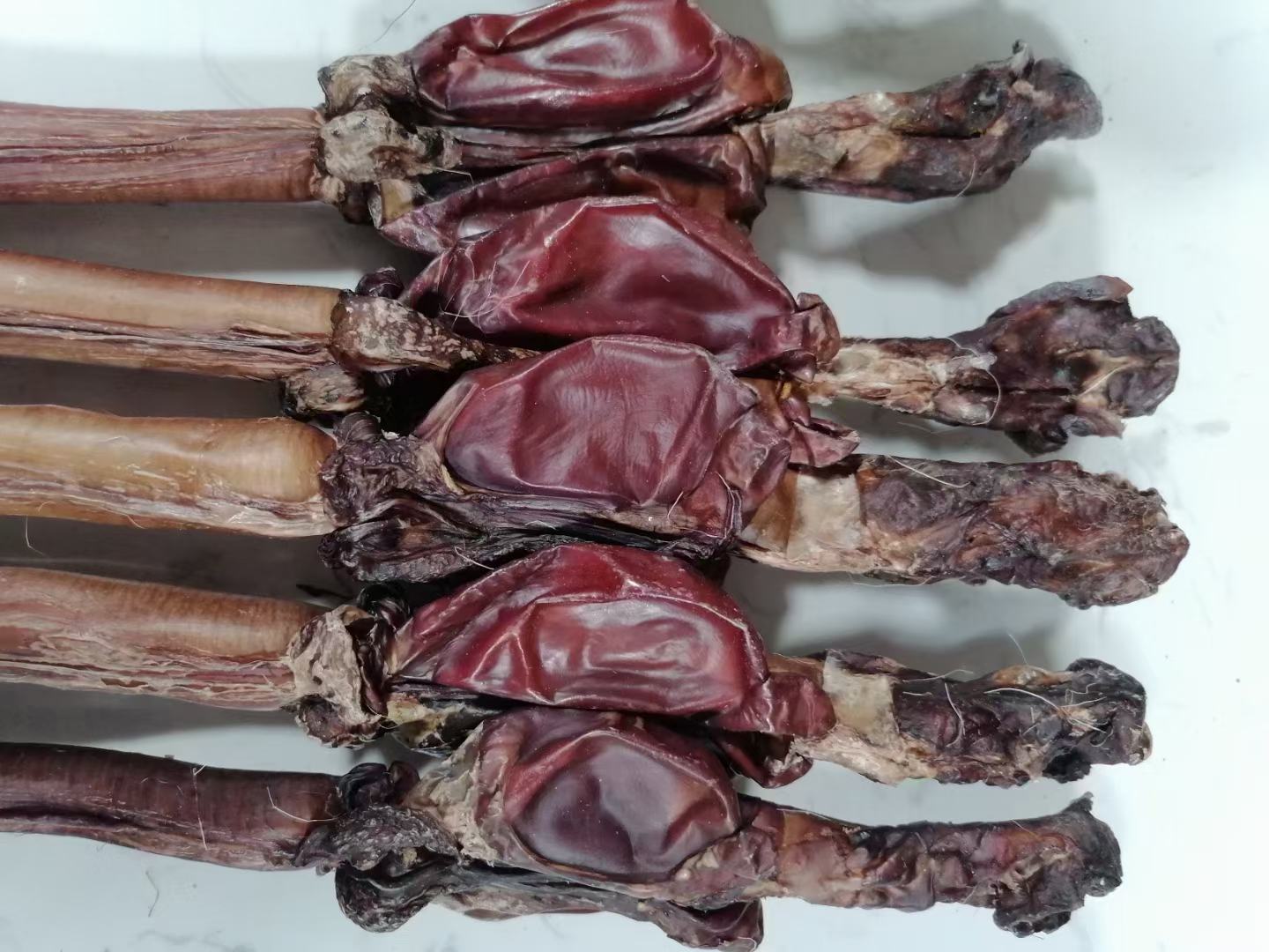 鲜鹿鞭与干鹿鞭对比图