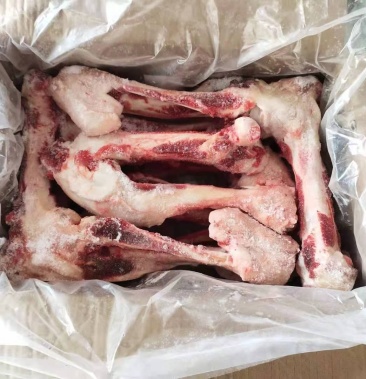 母猪后腿骨,厂家直销