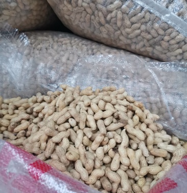 [天府3号花生批发]优质四川天府花生(精选)价格5.50元/斤 - 一亩田