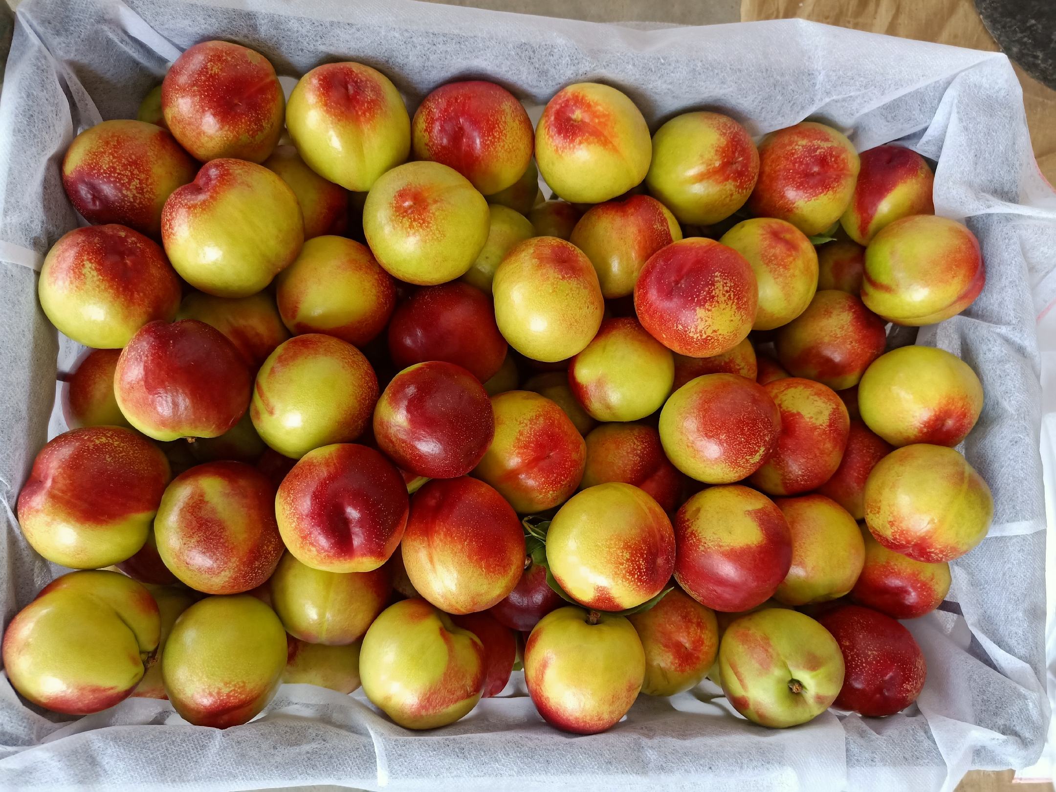 包装与物流场景