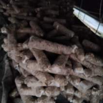 食用菌菌棒，种苗，试管，原种