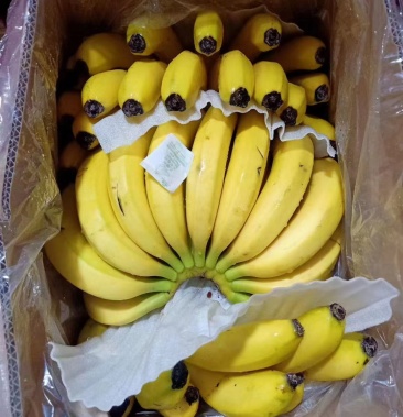 香蕉18斤箱装 口感甜糯 原产地云南货量多 诚信经营