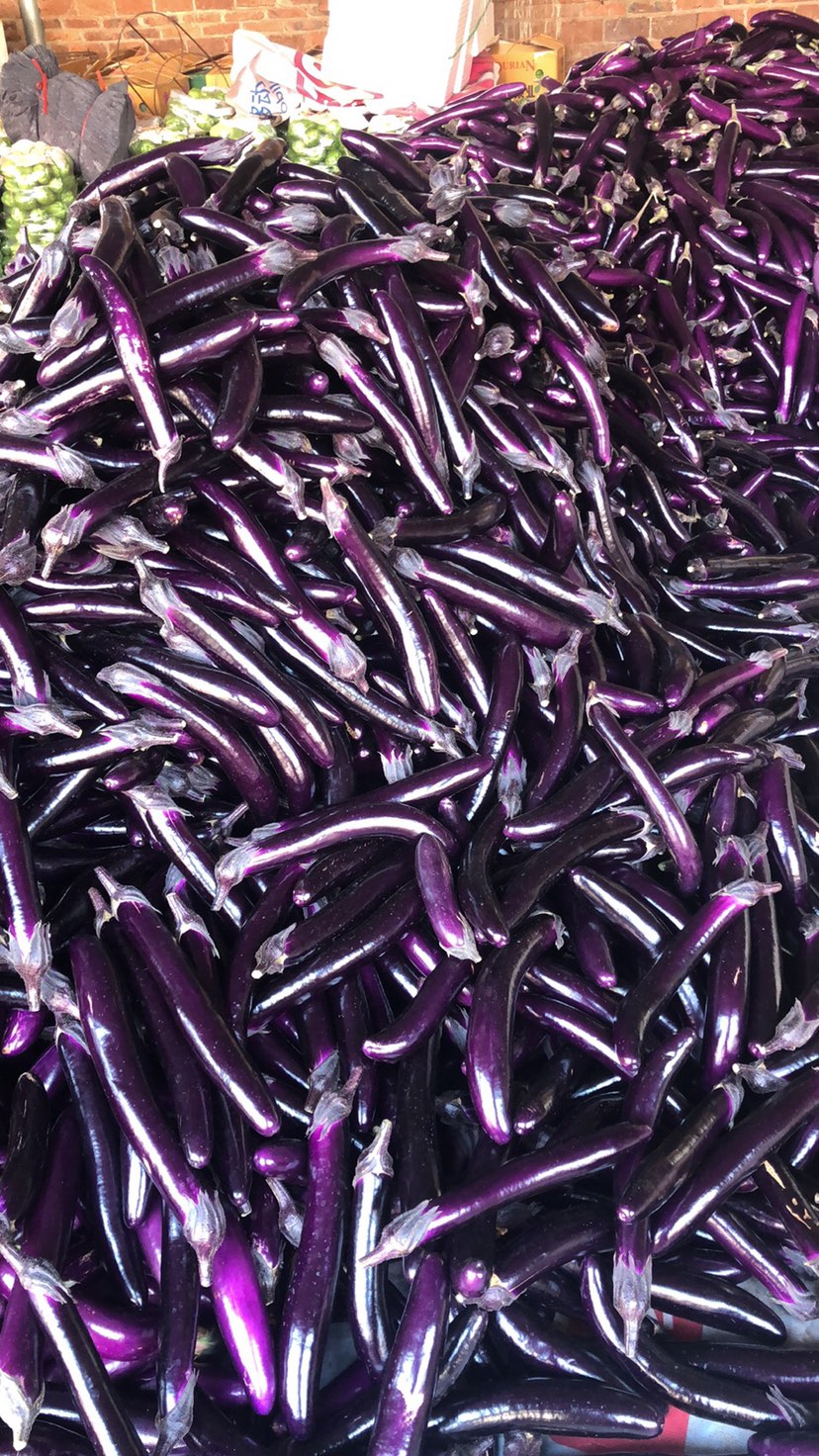 广东湛江徐闻茄子大量上市产地直发量大从优保质保量