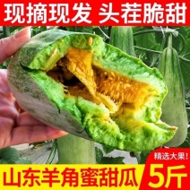 山东羊角蜜甜瓜现摘头茬超甜脆瓜香瓜批发当季水果甜瓜