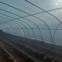 蔬菜种植大棚钢管型号齐全全国发货包建