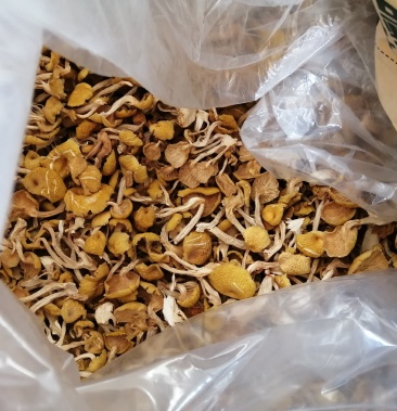 鸡油菌小黄蘑无添加东北榆黄蘑鲜香可口舌尖上的东北