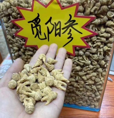 野生觅阳参灵阳参洋参大量批发小野山参500克