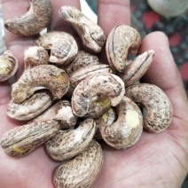 带皮紫皮盐熏腰果大腰果500G罐装袋装支持一件代发