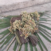 ***蕨菜一手货源价格美丽