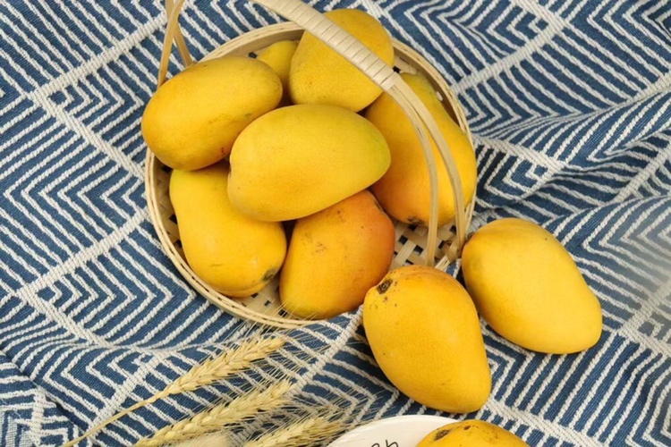 家庭享用台芒小场景