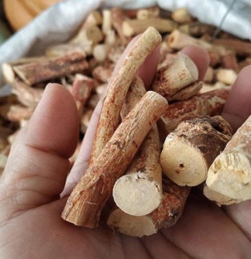 中段五指毛桃广西日晒足干无硫