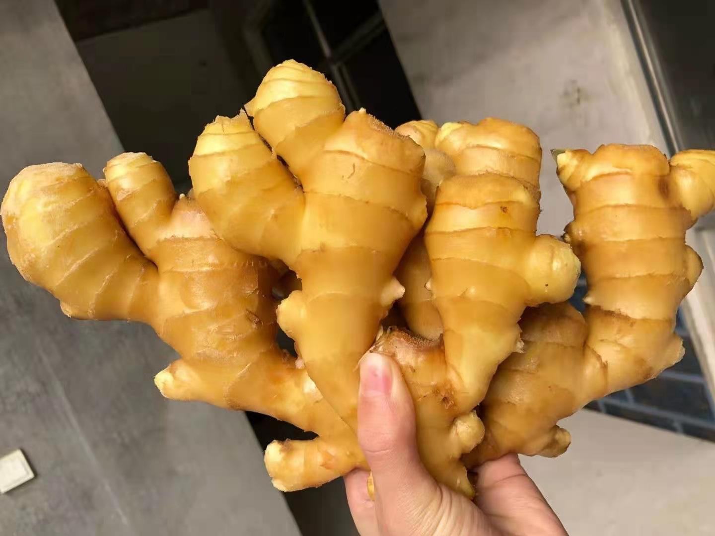 面姜实物图