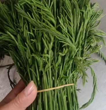 2021年云南普洱臭菜_也叫羽叶金合欢_鲜货_包邮