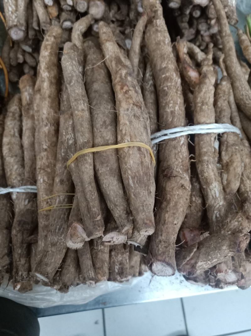 云南普洱野生鸡刺根_学名大蓟_只售鲜货_炖鸡炖排骨