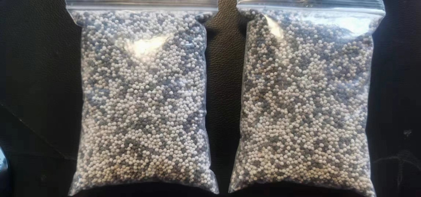 白芷田间有机肥施用现场,农户正在将腐熟有机肥均匀撒施 白芷田间有机肥施用现场