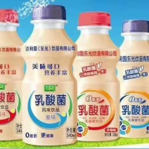 340*12瓶塑包乳酸菌，多种包装，口感好厂家直销