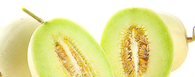 玉菇甜瓜外观特写