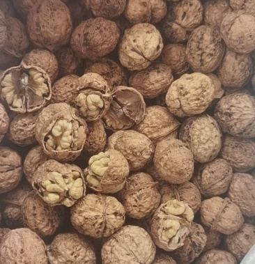 云南昌宁细香薄皮核桃