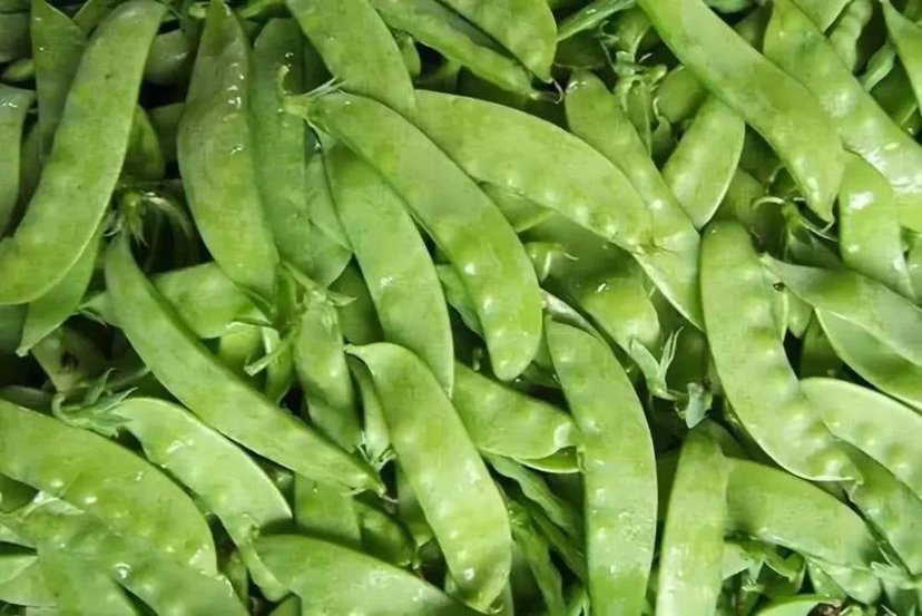 展示荷兰豆营养成分的图表,包括蛋白质、维生素C、膳食纤维、钾等主要营养素 荷兰豆营养成分分析图