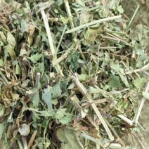 羊草:花生秧、玉米秸秆、大豆杆、大蒜皮量大从优