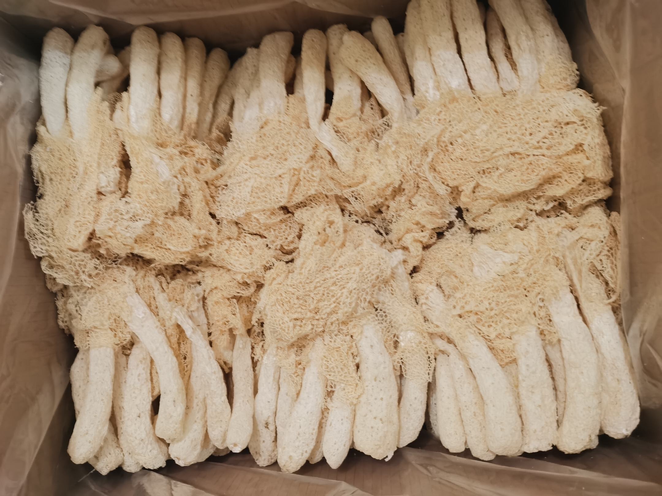 展示新鲜长裙竹荪的自然形态,菌裙完整,颜色洁白,菌柄挺拔 长裙竹荪特写