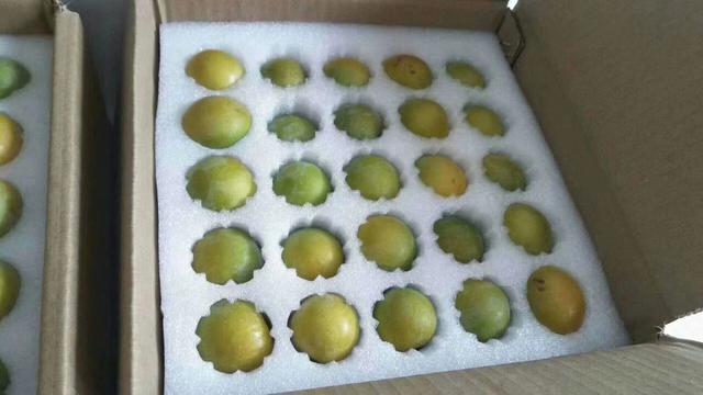 蜂糖李品牌包装