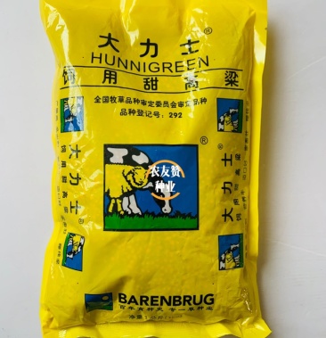 美国进口饲用甜高粱种子大力士,海牛,大卡高产牧草种子