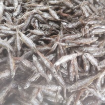 海南油炸开肚白肖（别名白条）油炸，不开肚油炸7-12公分