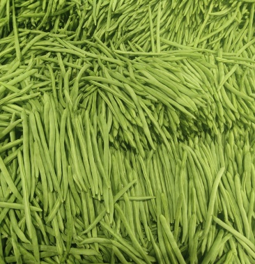 小金豆四季豆质量好