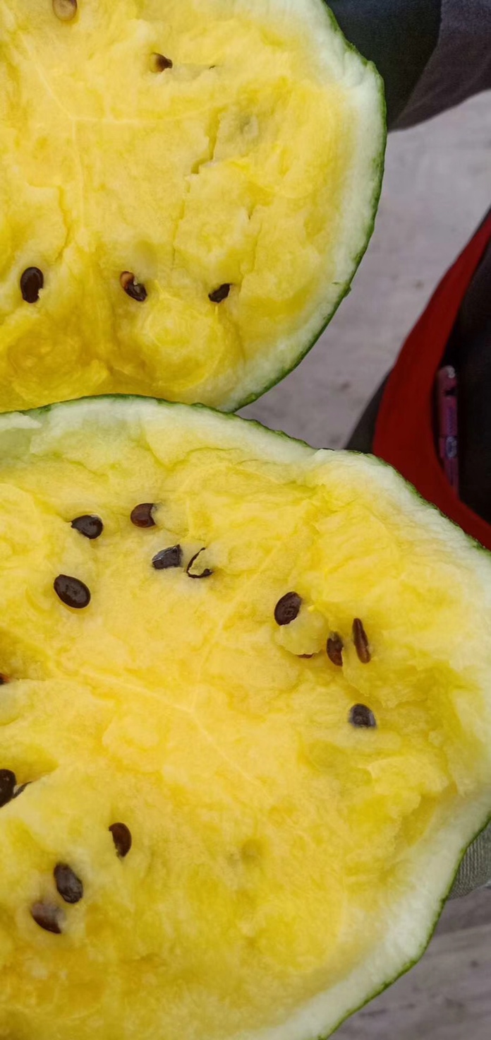 广西黑美人冰糖心西瓜